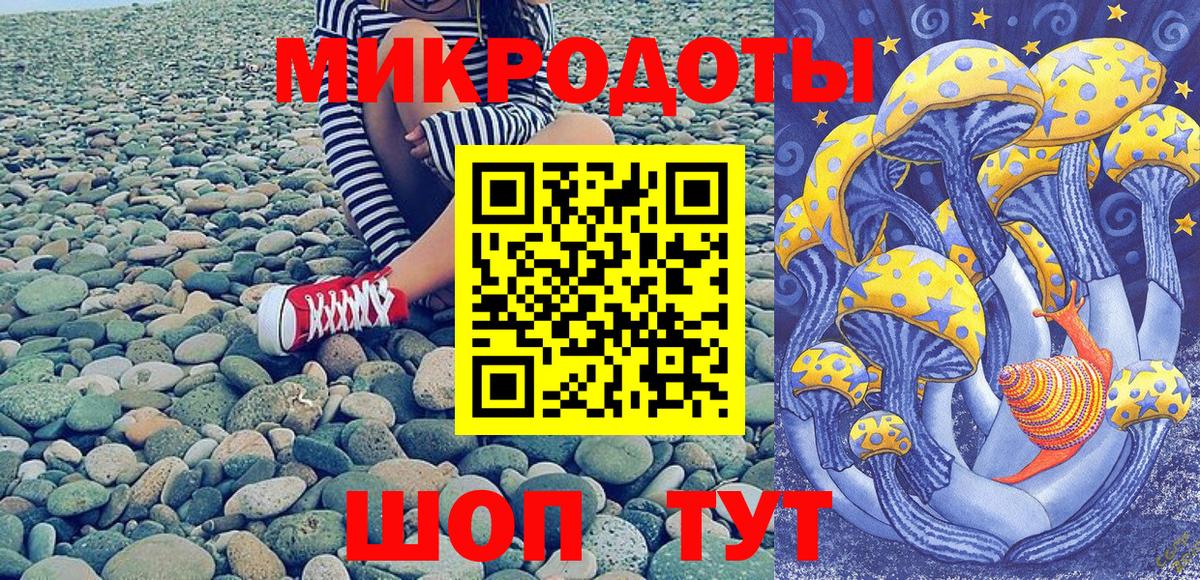 Нурлат  Галлюциногенные грибы Psilocybe  Вход с VPN 
